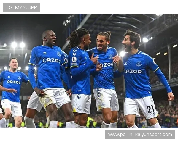 英超焦点战桑德兰战平埃弗顿 裁判争议判罚引球迷激烈讨论 英超焦点战桑德兰战平埃弗顿 裁判争议判罚引球迷激烈讨论