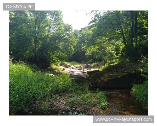 火花兄弟正式成型:开创未来的创新之路 火花兄弟正式成型:开创未来的创新之路